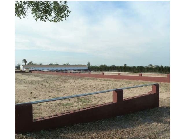 Bouwgrond te koop in San Miguel de Salinas - € 495.000 (Ref: 5185116)