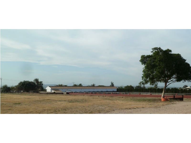 Byggegrund til salg i San Miguel de Salinas - € 495.000 (Ref: 5185116)