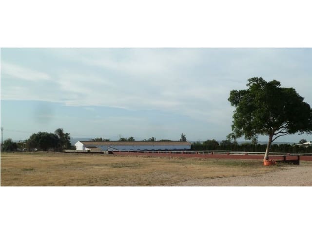 Bouwgrond te koop in San Miguel de Salinas - € 495.000 (Ref: 5185116)