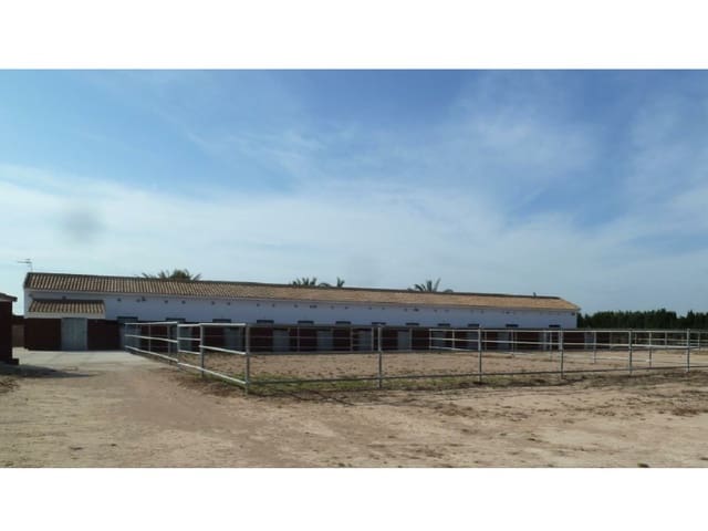 Bouwgrond te koop in San Miguel de Salinas - € 495.000 (Ref: 5185116)