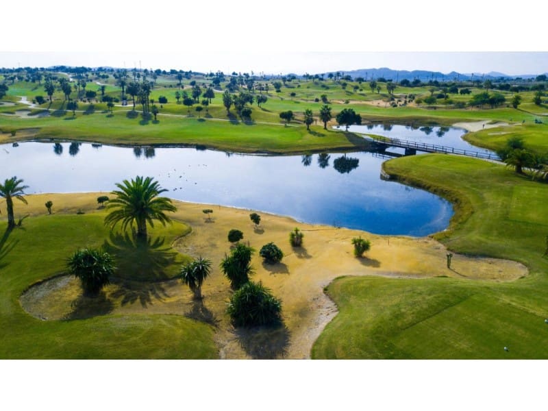 3 chambre Villa/Maison à vendre à Orihuela avec piscine - 395 000 € (Ref: 7893889)