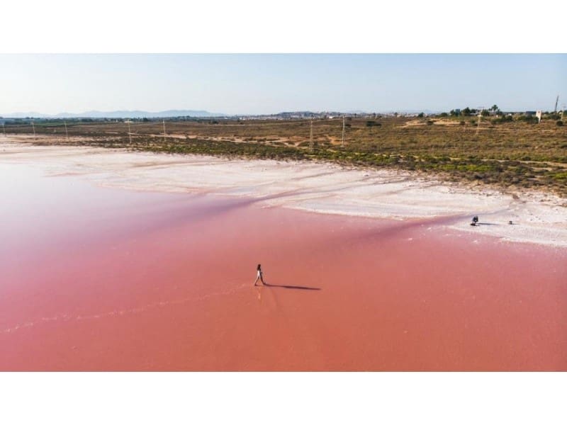 3 sypialnia Willa na sprzedaż w Torrevieja z basenem - 750 000 € (Ref: 7894032)