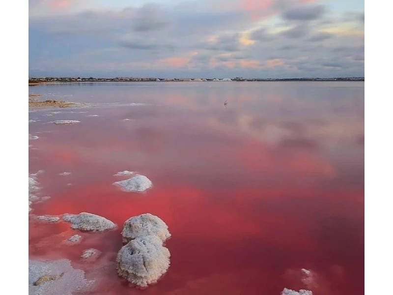 2 slaapkamer Bungalow te koop in Torrevieja met zwembad - € 309.000 (Ref: 8045306)