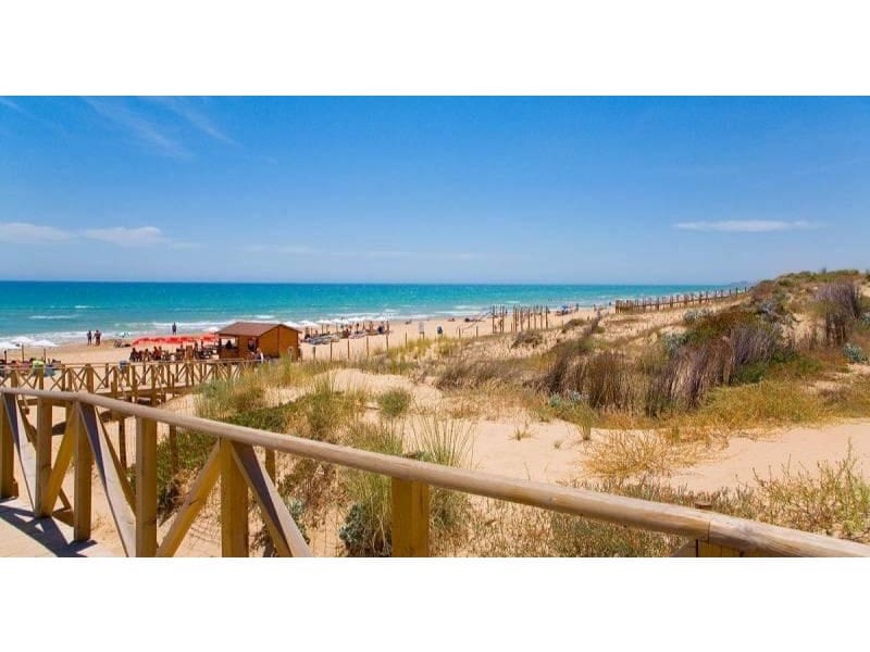 3 chambre Villa/Maison à vendre à Benijofar avec piscine - 495 000 € (Ref: 8410080)