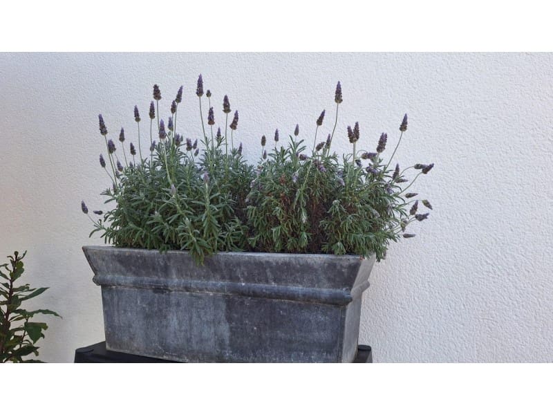 4 bedroom Villa for sale in Torrevieja with pool - € 490,000 (Ref: 8937456)