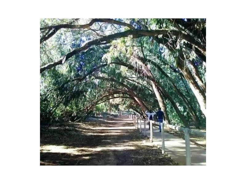 2 camera da letto Bungalow in vendita in Torrevieja con piscina - 281.900 € (Rif: 8939043)