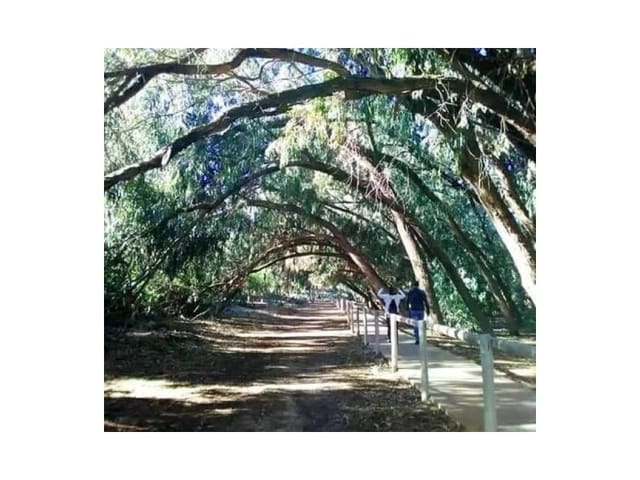 2 camera da letto Bungalow in vendita in Aguas Nuevas, Torrevieja con piscina - 270.900 € (Rif: 8939045)