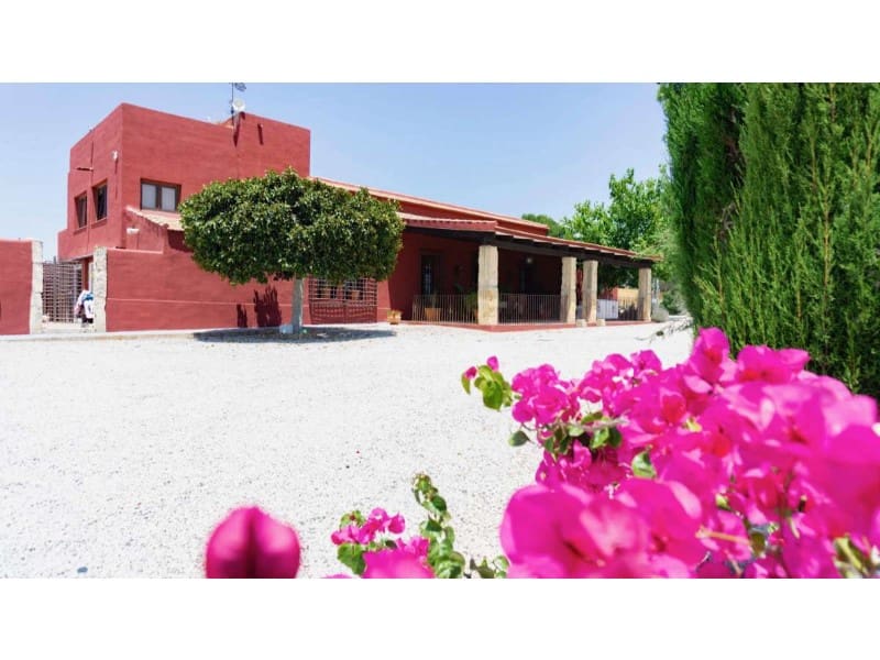 4 chambre Finca/Maison de Campagne à vendre à Orihuela avec piscine - 1 745 000 € (Ref: 9128599)