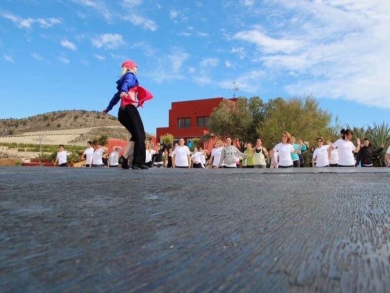 4 chambre Finca/Maison de Campagne à vendre à Orihuela avec piscine - 1 745 000 € (Ref: 9128599)