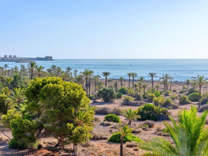 2 bedroom Apartment for sale in Punta Prima with garage - € 369,000 (Ref: 9194078)