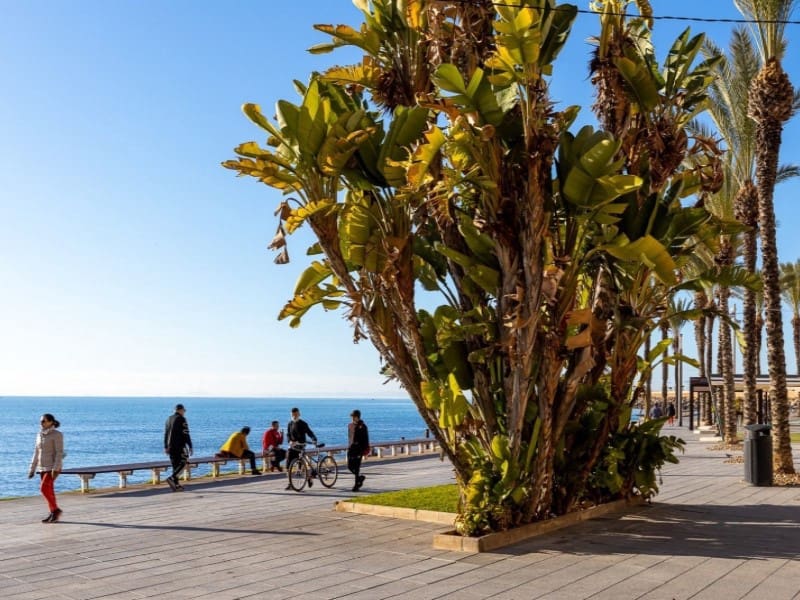 2 bedroom Apartment for sale in Torrevieja - € 125,000 (Ref: 9244271)