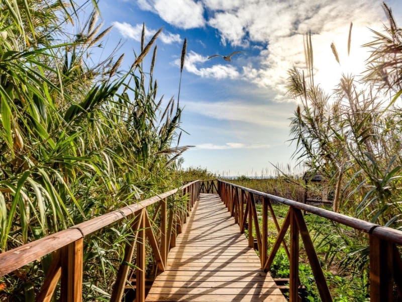 2 bedroom Apartment for sale in La Mata - € 147,969 (Ref: 9282490)