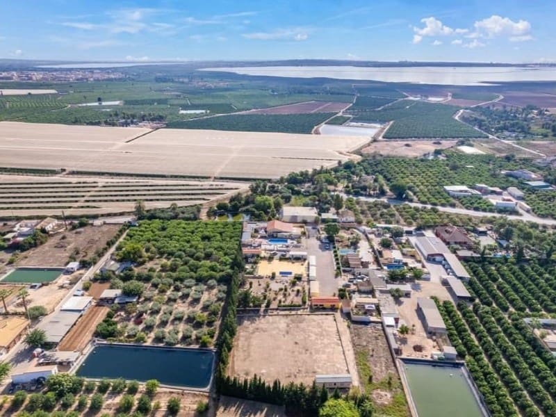 3 Zimmer Finca/Landgut zu verkaufen in Los Montesinos mit Pool - 900.000 € (Ref: 9308637)