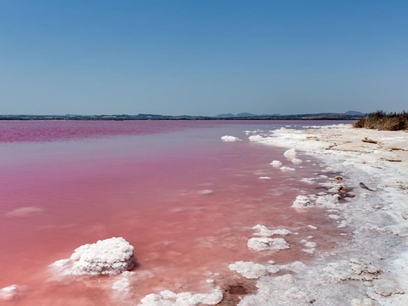 3 sypialnia Dom na sprzedaż w El Chaparral - 169 900 € (Ref: 9344934)