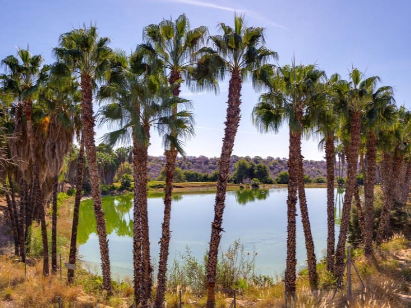 3 sovrum Villa till salu i Orihuela Costa med pool - 550 000 € (Ref: 9344939)