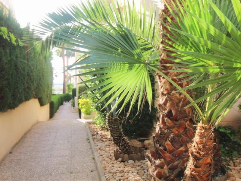 3 soveværelse Lejlighed til salg i Torrevieja - € 199.900 (Ref: 9433320)