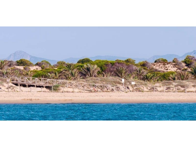 2 makuuhuone Kattohuoneisto myytävänä paikassa Guardamar del Segura mukana uima-altaan - 415 000 € (Ref: 9450358)