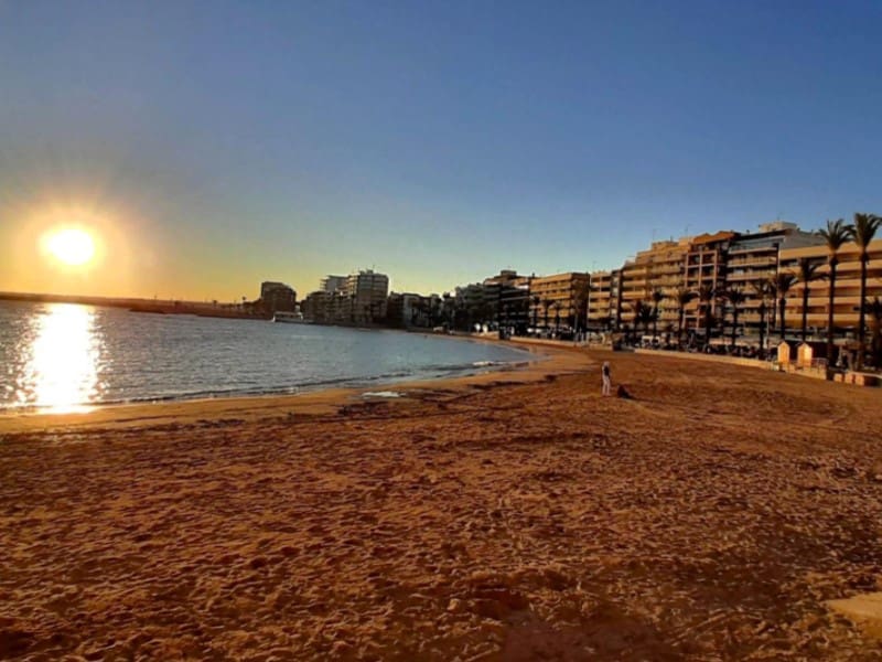 Ático de 3 habitaciones en Torrevieja en venta - 195.000 € (Ref: 9528404)