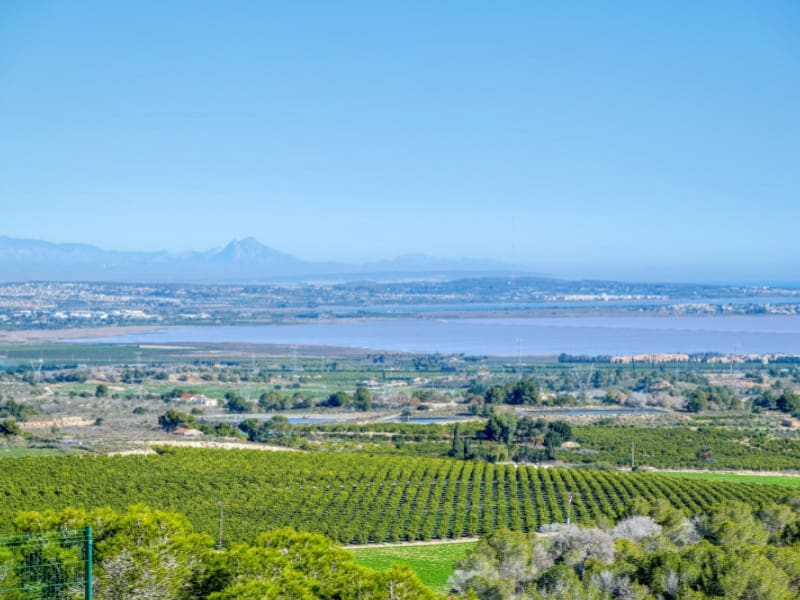 3 bedroom Villa for sale in San Miguel de Salinas with pool garage - € 499,000 (Ref: 9565379)