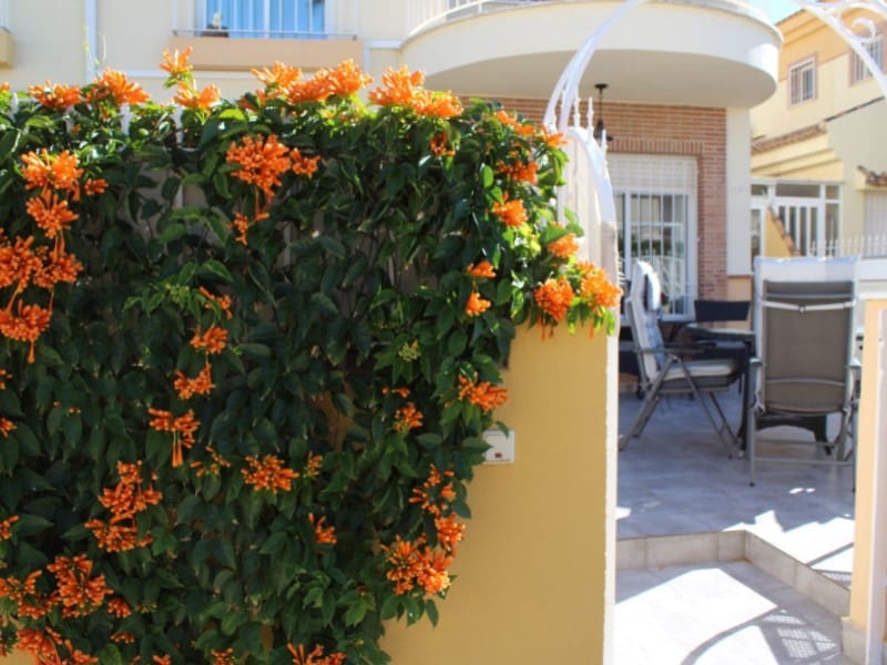 3 soverom Villa til salgs i Orihuela Costa - € 239 000 (Ref: 9644718)