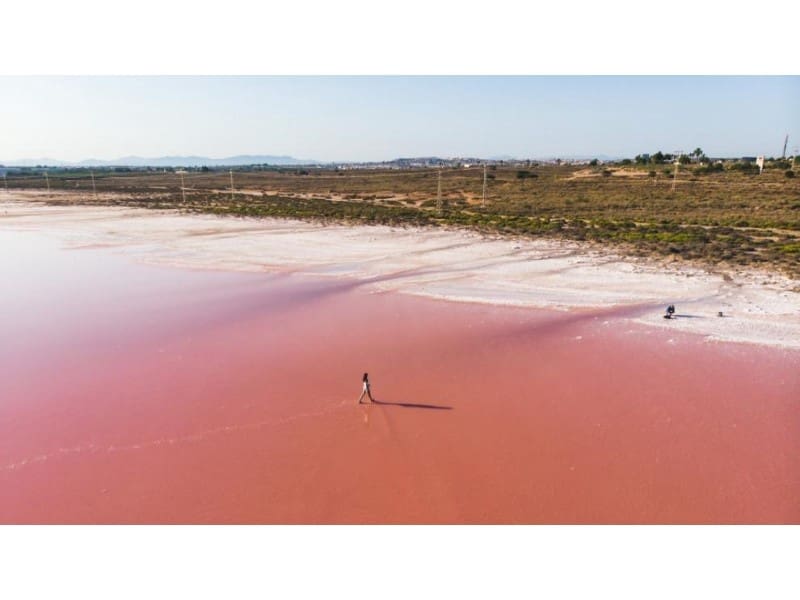 2 soverom Penthouse til salgs i Torrevieja med svømmebasseng - € 459 900 (Ref: 9735494)