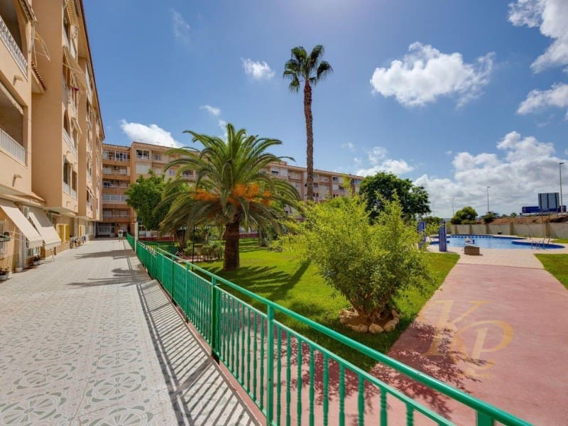 2 quarto Apartamento para venda em Torrevieja com piscina - 159 969 € (Ref: 9780456)