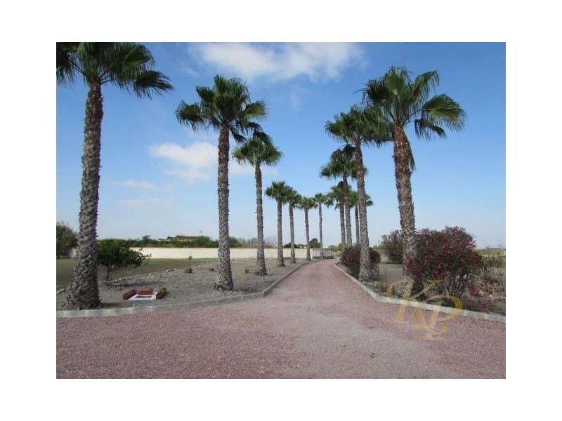 3 makuuhuone Huvila myytävänä paikassa Dolores mukana uima-altaan - 445 000 € (Ref: 9797009)