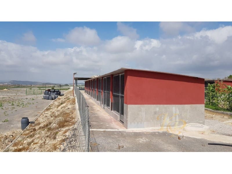 2 quarto Quinta/Casa Rural para venda em Los Montesinos - 380 000 € (Ref: 9804223)