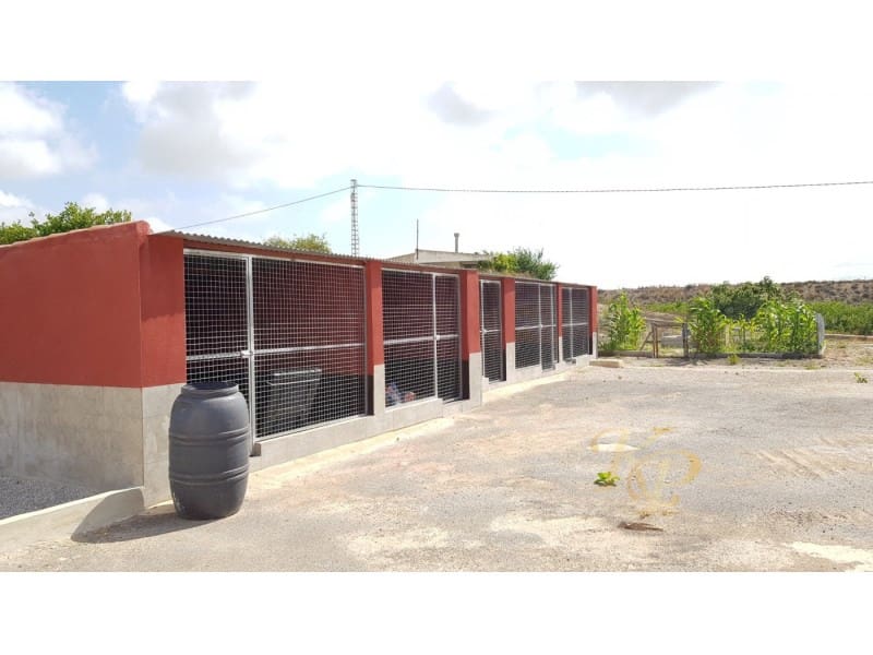 2 quarto Quinta/Casa Rural para venda em Los Montesinos - 380 000 € (Ref: 9804223)