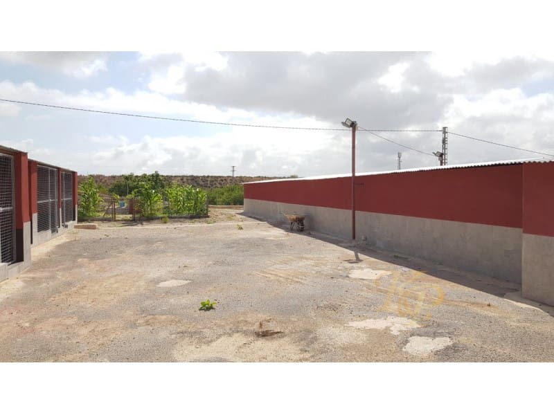 2 quarto Quinta/Casa Rural para venda em Los Montesinos - 380 000 € (Ref: 9804223)