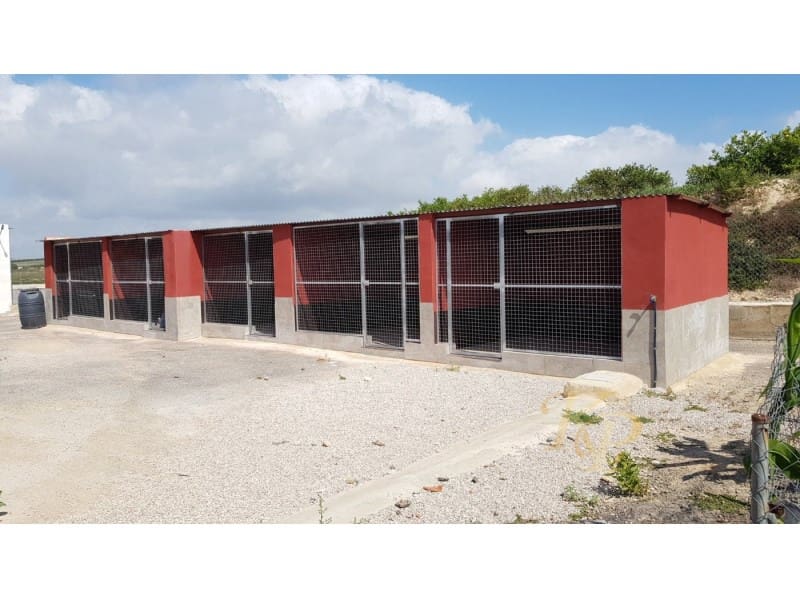 2 quarto Quinta/Casa Rural para venda em Los Montesinos - 380 000 € (Ref: 9804223)