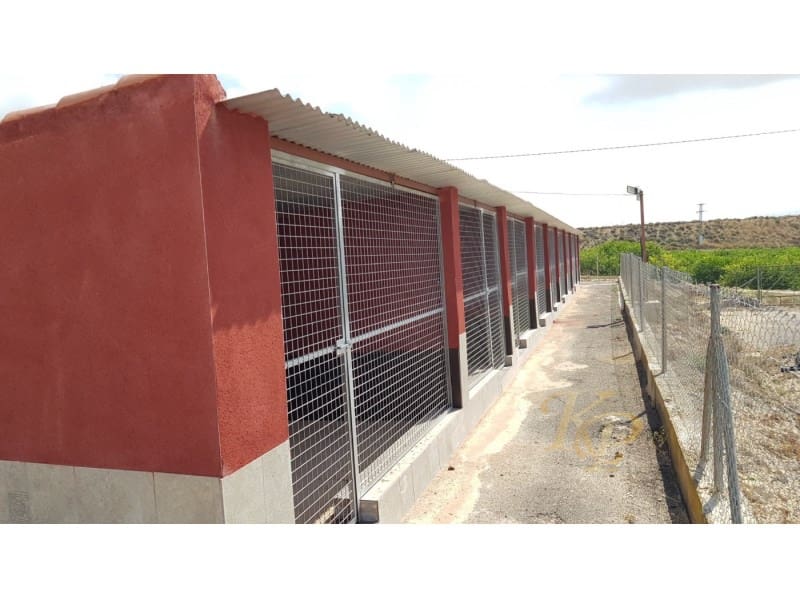 2 quarto Quinta/Casa Rural para venda em Los Montesinos - 380 000 € (Ref: 9804223)