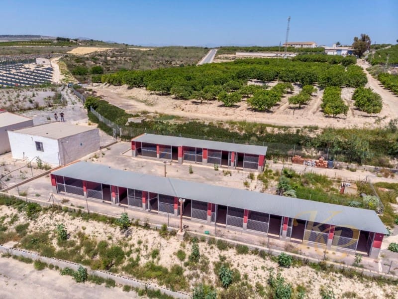 2 quarto Quinta/Casa Rural para venda em Los Montesinos - 380 000 € (Ref: 9804223)