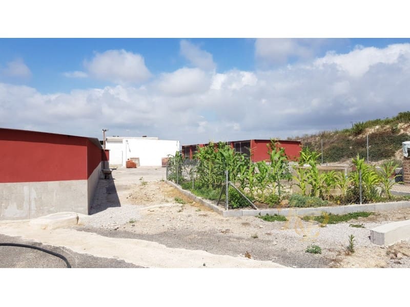 2 quarto Quinta/Casa Rural para venda em Los Montesinos - 380 000 € (Ref: 9804223)