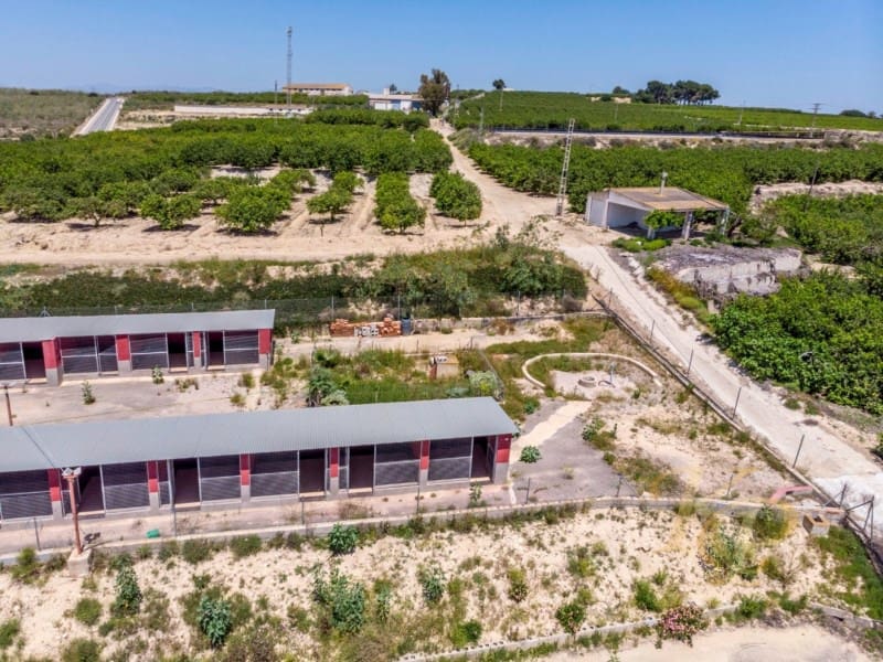 2 quarto Quinta/Casa Rural para venda em Los Montesinos - 380 000 € (Ref: 9804223)