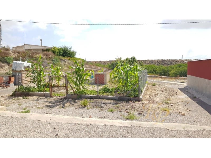 2 quarto Quinta/Casa Rural para venda em Los Montesinos - 380 000 € (Ref: 9804223)