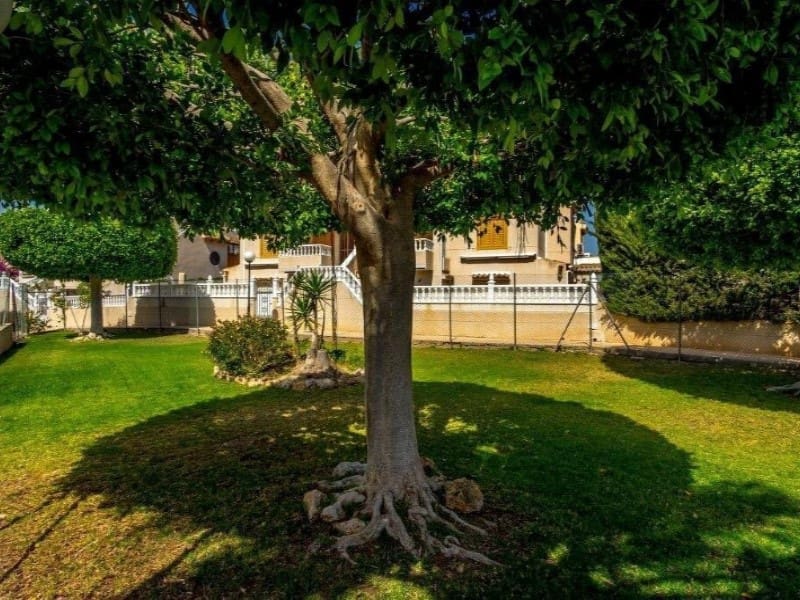 4 soveværelse Byhus til salg i Los Altos med swimmingpool - € 179.000 (Ref: 9904303)