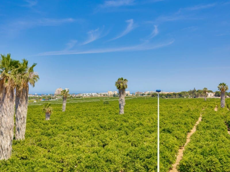 3 camera da letto Casa in vendita in Torrevieja con piscina - 315.000 € (Rif: 9904305)