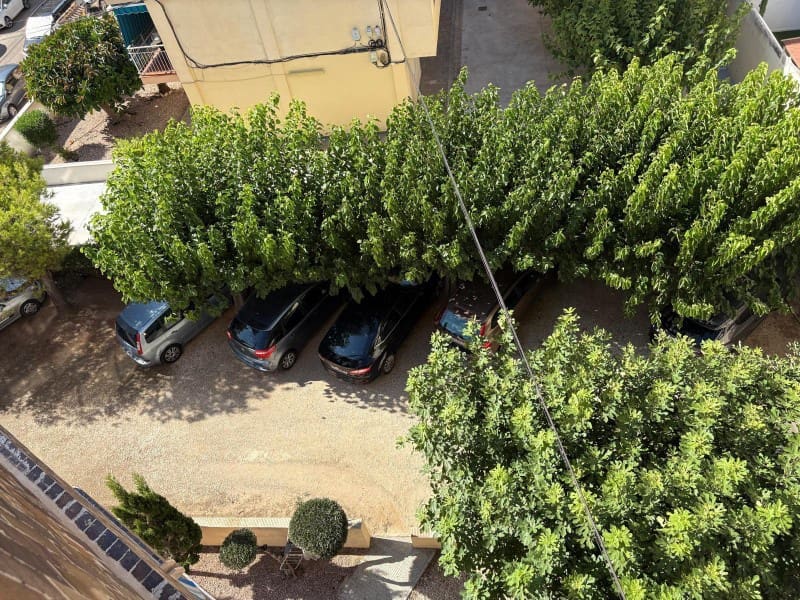 Apartamento de 2 habitaciones en La Mata en venta - 189.500 € (Ref: 9904313)