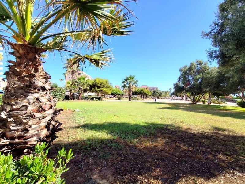 1 bedroom Apartment for sale in La Mata - € 127,000 (Ref: 9953978)