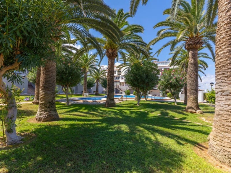 1 sypialnia Apartament na sprzedaż w Torrevieja - 179 500 € (Ref: 9957671)