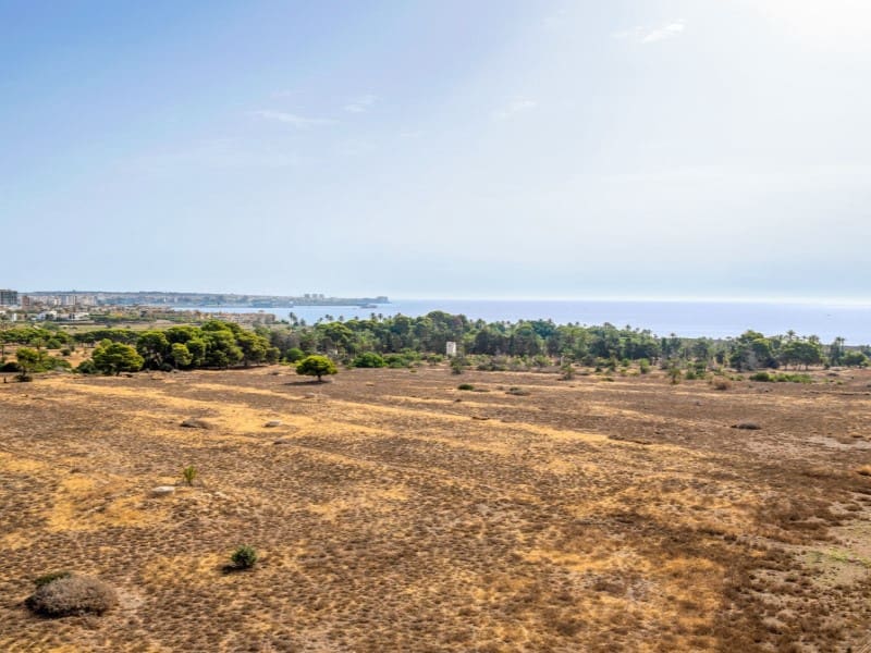 2 bedroom Penthouse for sale in Punta Prima with garage - € 225,000 (Ref: 9996851)