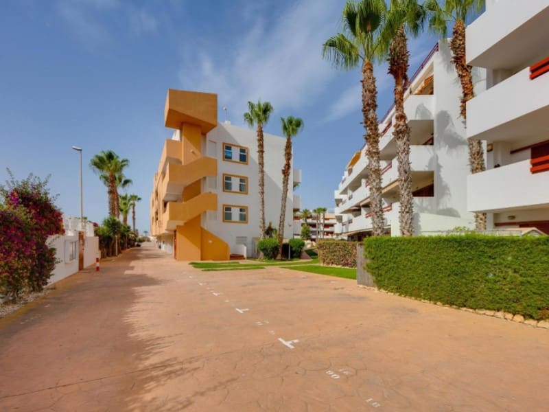 2 soveværelse Lejlighed til salg i Playa Flamenca med swimmingpool - € 194.969 (Ref: 9996852)