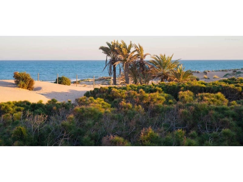 2 bedroom Penthouse for sale in Guardamar del Segura with pool - € 315,000 (Ref: 9998557)