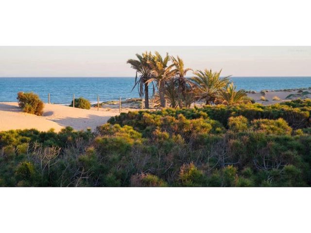2 bedroom Penthouse for sale in Puerto Deportivo, Guardamar del Segura with pool - € 315,000 (Ref: 9998557)