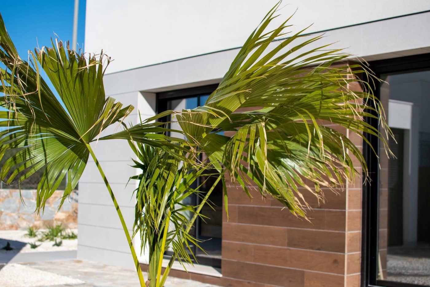 3 sypialnia Willa na sprzedaż w Los Montesinos z basenem - 509 000 € (Ref: 6289126)