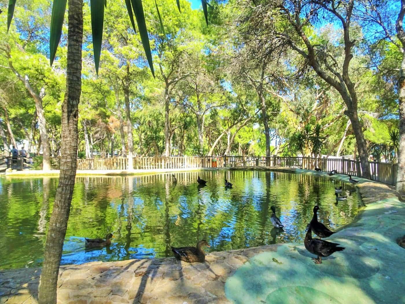 2 chambre Appartement à vendre à Guardamar del Segura avec piscine - 539 000 € (Ref: 7164546)