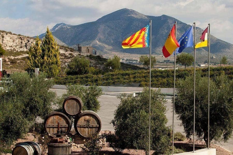 4 sypialnia Willa na sprzedaż w Pinoso z basenem - 434 000 € (Ref: 8466208)