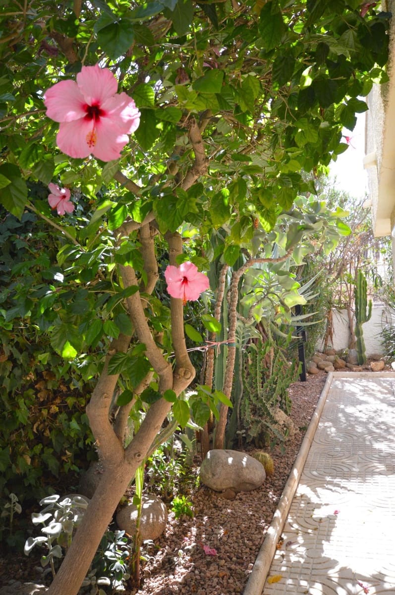 5 sypialnia Willa na sprzedaż w La Veleta z basenem garażem - 840 000 € (Ref: 8936827)