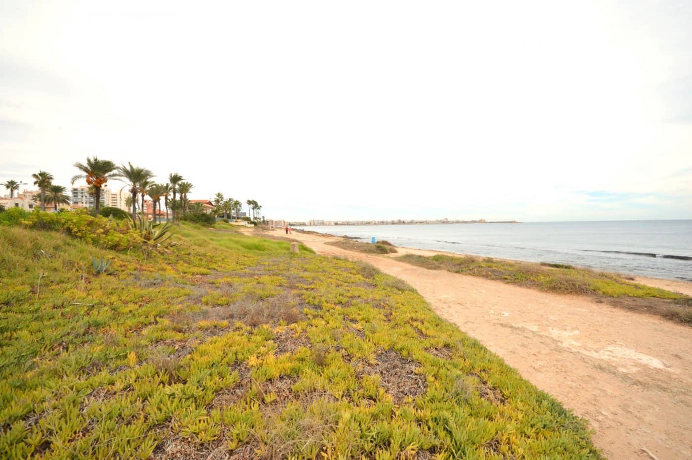 5 sypialnia Willa na sprzedaż w La Veleta z basenem garażem - 840 000 € (Ref: 8936827)